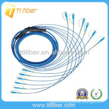 SC/UPC-SC/UPC 6 cord Armored Fiber Optic Patch Cable (Armored Fiber Optical Jumper)